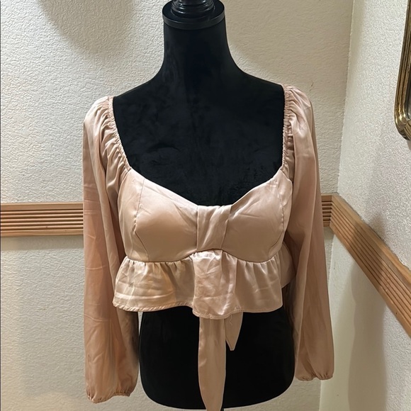 Rabbit Rose Tops - Rabbit Hole Blush Pink  XL Women's Crop Top!